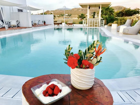 Queen Boutique Suites