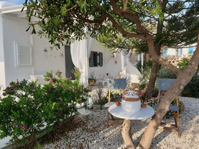 Sand Lily Mykonos