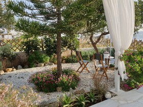 Sand Lily Mykonos