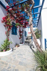 Spanelis Hotel Mykonos