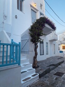 Villa Loom Mykonos Town