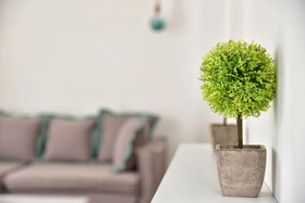 Tropicana Hotel , Suites & Villas Mykonos