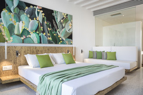Mykonos Dove Beach Hotel