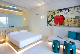 Mykonos Dove Beach Hotel