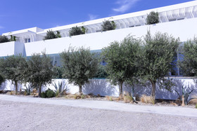 Mykonos Dove Beach Hotel