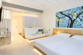 Mykonos Dove Beach Hotel