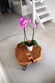 Croco Mykonos