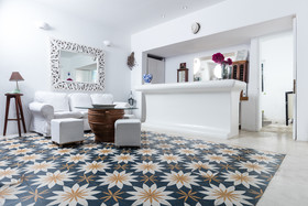 Rhenia Mykonos