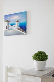 Elia Studios