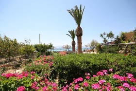 Agia Anna Hotel