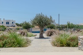 Olives & Rocks Naxian Villas