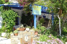 Dina Studios