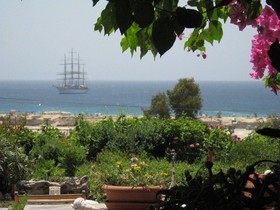 Dina Studios