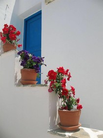 Hotel Deep Blue