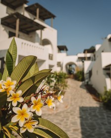 Melidron Luxury Hotel & Suites