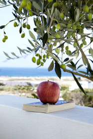 Mitos Suites Luxury Hotel In Naxos