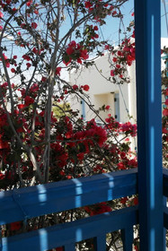 Pigasos Studios