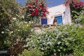Sun Rock Boutique Suites