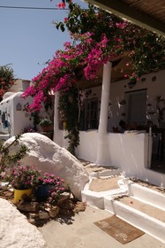 Sun Rock Boutique Suites