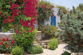 Sun Rock Boutique Suites