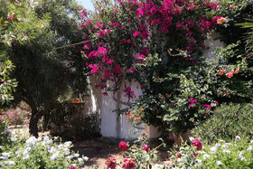 Sun Rock Boutique Suites