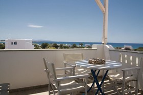 Dolphin Kastraki Studios