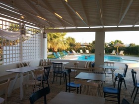 Dolphin Kastraki Studios