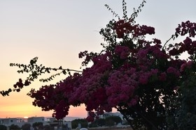 Diamantis Studios & Apartments