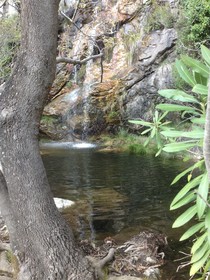 Depis Sea Side Villas