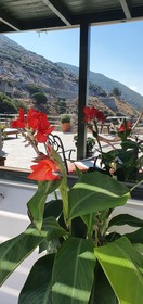 ELaiolithos Luxury Retreat