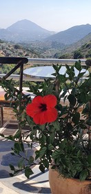 ELaiolithos Luxury Retreat