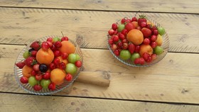 ELaiolithos Luxury Retreat