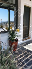 ELaiolithos Luxury Retreat
