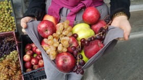 ELaiolithos Luxury Retreat