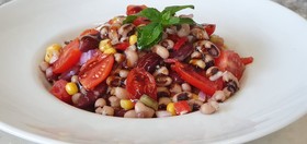 ELaiolithos Luxury Retreat