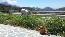 ELaiolithos Luxury Retreat