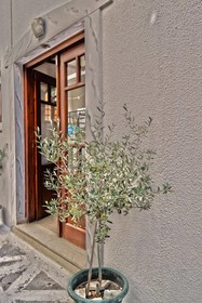 Golden Beach Studios Down Town