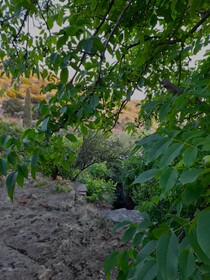 Ktima Drilli Naxos