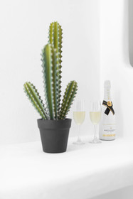 Portara Seaside Luxury Suites