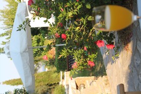 Scala Apartments