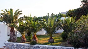 Scala Apartments