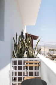 Vorta Naxos