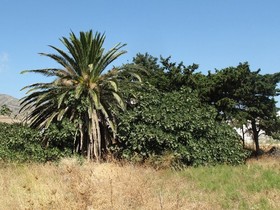 Drios Seaside Villas