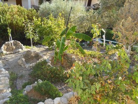 Yvonni Studios