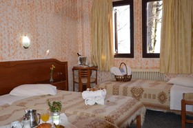 Hotel Hani Zisi