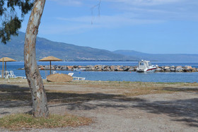 Filoxenia