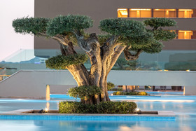 Amada Colossos Luxury Villas