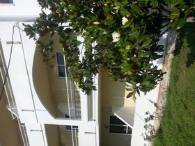 Mikes House