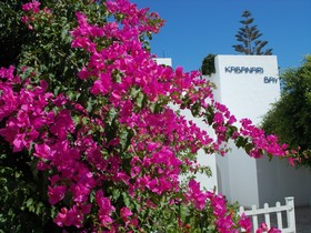 Absolute Kiotari Resort