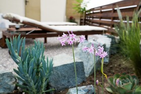 Villa Acacia